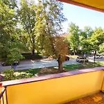 Dream Oasis