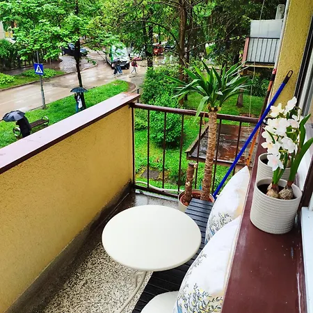 Dream Oasis Apartment *